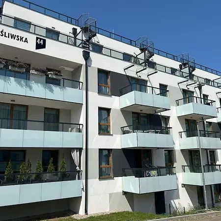 Mega Danzica